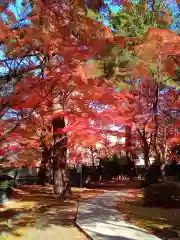 正樂寺(宮城県)