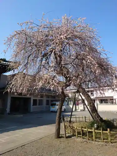 宗仲寺(神奈川県)