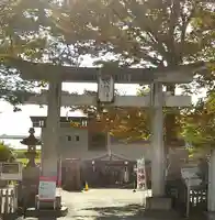 日野八坂神社の鳥居