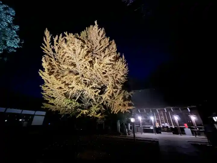 小平神明宮(東京都)