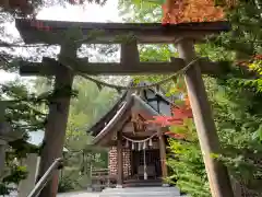 平岸天満宮・太平山三吉神社の鳥居