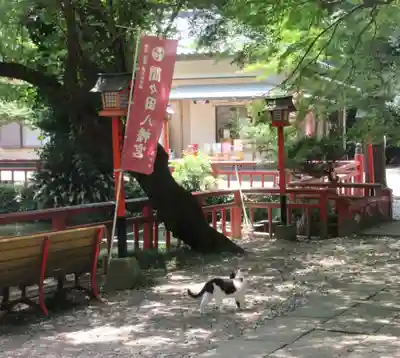 間々田八幡宮(栃木県)
