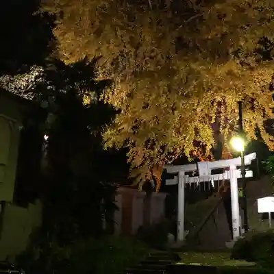水神社の自然