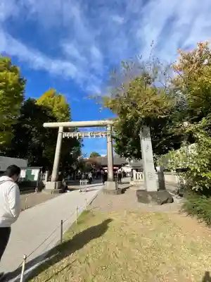 浅草神社の鳥居