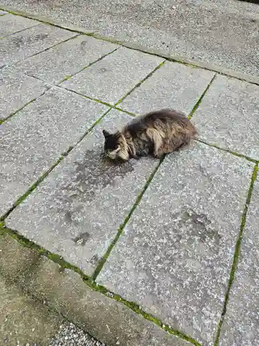 山梨縣護國神社(山梨県)