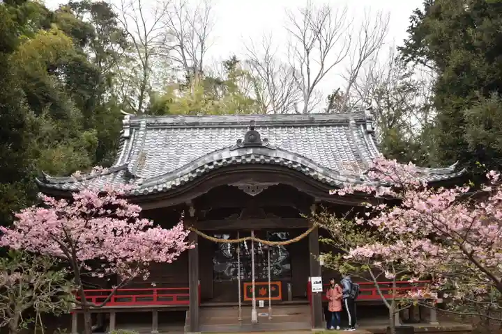 吾妻神社の本殿・本堂