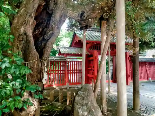 金王八幡宮の山門