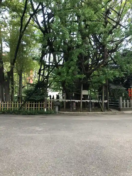 稲毛神社(神奈川県)