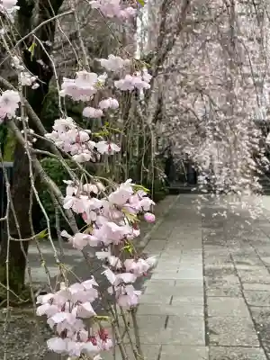 吉祥寺(東京都)