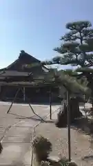 正等山 円福寺の建物その他