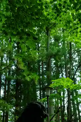 戸隠神社宝光社(長野県)