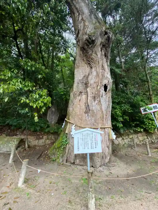 大山祇神社(愛媛県)