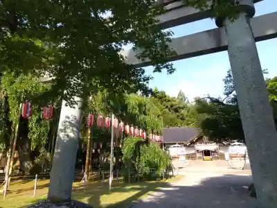 足羽神社の{uncategorized: "未分類", other: "その他", undefined: "問題あり", building: "その他建物", grave: "お墓", sacred_gate: "鳥居", guardian: "狛犬", statue: "像", buddha: "仏像", history: "歴史", nature: "自然", garden: "庭園", animal: "動物", pagoda: "塔", temizu: "手水舎", mountain_gate: "山門・神門", sanctuary: "本殿・本堂", subordinate: "末社・摂社", art: "芸術", scenery: "景色", jizo: "地蔵", ema: "絵馬", goshuin: "御朱印", omikuji: "おみくじ", items: "授与品その他", amulet: "お守り", goshuincho: "御朱印帳", eats: "食事", festival: "お祭り", votive_dance: "神楽", shichigosan: "七五三参", wedding: "結婚式", experience: "体験その他", initially: "初詣", around: "周辺", anti_infection: "感染症対策"}