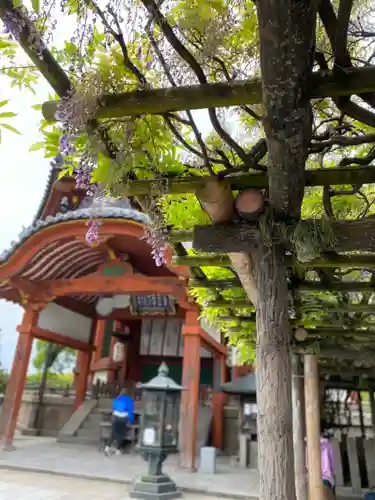興福寺(奈良県)