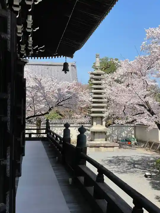妙顯寺(妙顕寺)の塔
