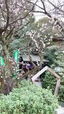 阿佐ヶ谷神明宮(東京都)