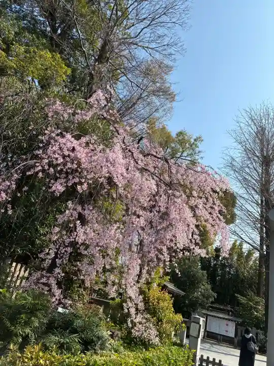 阿佐ヶ谷神明宮の{uncategorized: "未分類", other: "その他", undefined: "問題あり", building: "その他建物", grave: "お墓", sacred_gate: "鳥居", guardian: "狛犬", statue: "像", buddha: "仏像", history: "歴史", nature: "自然", garden: "庭園", animal: "動物", pagoda: "塔", temizu: "手水舎", mountain_gate: "山門・神門", sanctuary: "本殿・本堂", subordinate: "末社・摂社", art: "芸術", scenery: "景色", jizo: "地蔵", ema: "絵馬", goshuin: "御朱印", omikuji: "おみくじ", items: "授与品その他", amulet: "お守り", goshuincho: "御朱印帳", eats: "食事", festival: "お祭り", votive_dance: "神楽", shichigosan: "七五三参", wedding: "結婚式", experience: "体験その他", initially: "初詣", around: "周辺", anti_infection: "感染症対策"}