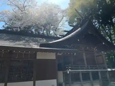 駒形神社(岩手県)