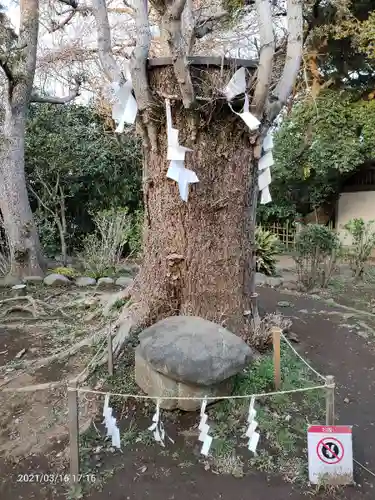 江島神社のその他建物
