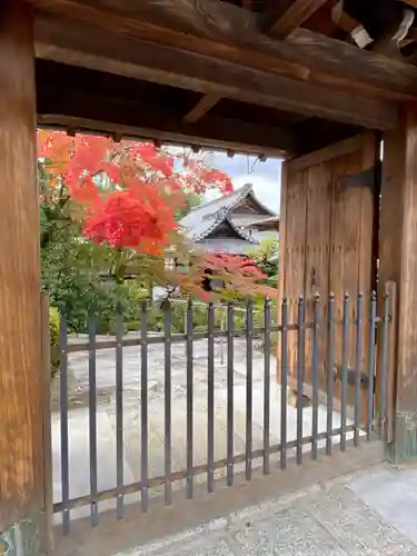 龍光院の山門