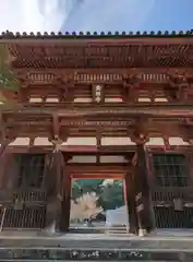 金剛寺(大阪府)