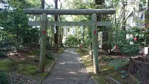 鹿島神宮の鳥居