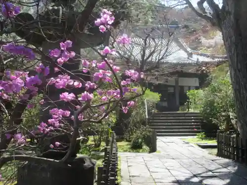 安國論寺（安国論寺）の景色