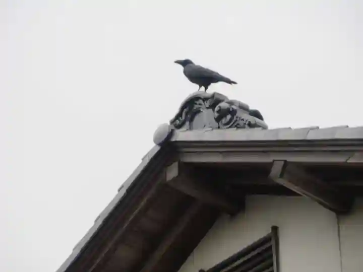 天祥寺(埼玉県)