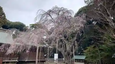 常陸第三宮 吉田神社(茨城県)