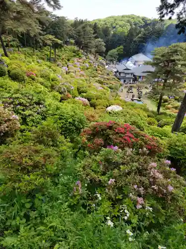 塩船観音寺の庭園