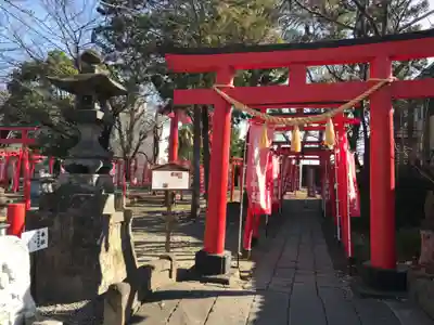 於菊稲荷神社の鳥居