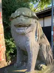 小幡八幡宮の狛犬