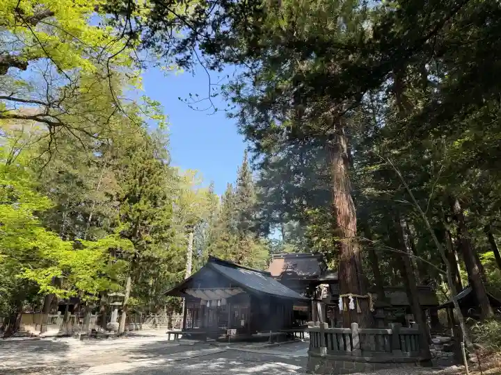 諏訪大社下社春宮の{uncategorized: "未分類", other: "その他", undefined: "問題あり", building: "その他建物", grave: "お墓", sacred_gate: "鳥居", guardian: "狛犬", statue: "像", buddha: "仏像", history: "歴史", nature: "自然", garden: "庭園", animal: "動物", pagoda: "塔", temizu: "手水舎", mountain_gate: "山門・神門", sanctuary: "本殿・本堂", subordinate: "末社・摂社", art: "芸術", scenery: "景色", jizo: "地蔵", ema: "絵馬", goshuin: "御朱印", omikuji: "おみくじ", items: "授与品その他", amulet: "お守り", goshuincho: "御朱印帳", eats: "食事", festival: "お祭り", votive_dance: "神楽", shichigosan: "七五三参", wedding: "結婚式", experience: "体験その他", initially: "初詣", around: "周辺", anti_infection: "感染症対策"}