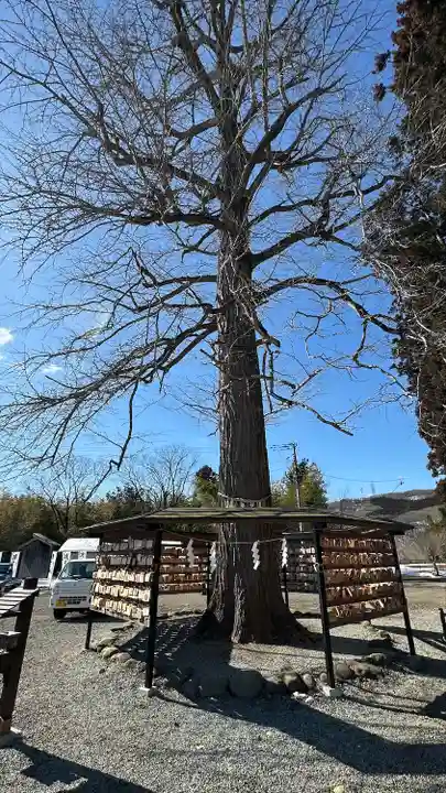 秋保神社(宮城県)