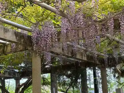 立木神社の{uncategorized: "未分類", other: "その他", undefined: "問題あり", building: "その他建物", grave: "お墓", sacred_gate: "鳥居", guardian: "狛犬", statue: "像", buddha: "仏像", history: "歴史", nature: "自然", garden: "庭園", animal: "動物", pagoda: "塔", temizu: "手水舎", mountain_gate: "山門・神門", sanctuary: "本殿・本堂", subordinate: "末社・摂社", art: "芸術", scenery: "景色", jizo: "地蔵", ema: "絵馬", goshuin: "御朱印", omikuji: "おみくじ", items: "授与品その他", amulet: "お守り", goshuincho: "御朱印帳", eats: "食事", festival: "お祭り", votive_dance: "神楽", shichigosan: "七五三参", wedding: "結婚式", experience: "体験その他", initially: "初詣", around: "周辺", anti_infection: "感染症対策"}