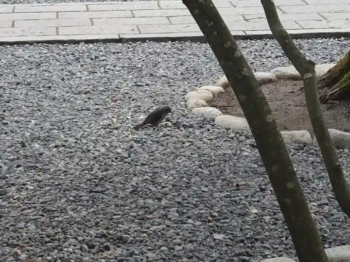 諏訪大社下社春宮(長野県)