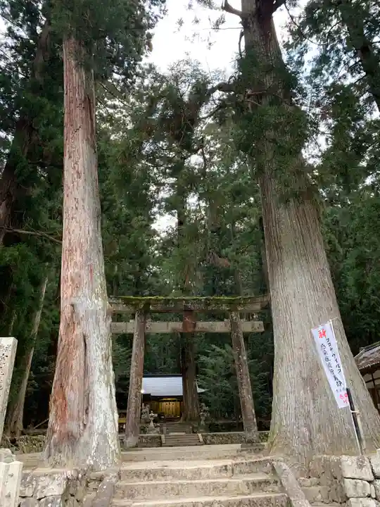 室生龍穴神社の自然