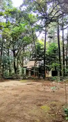 桑橋熊野神社の自然