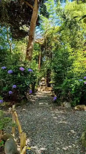 菊田神社の自然