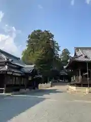 熊野神社の建物その他