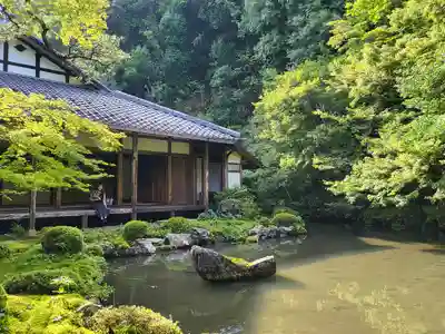 蓮華寺（洛北蓮華寺）(京都府)