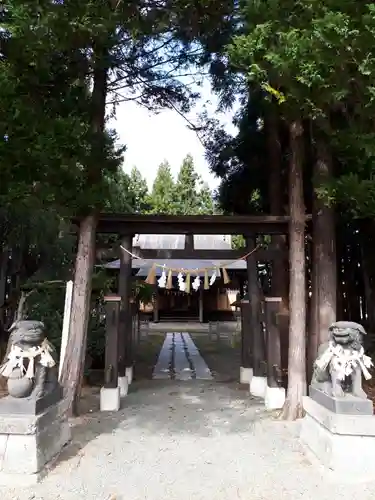 横手八幡神社の狛犬