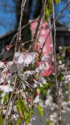 玉田神社の自然