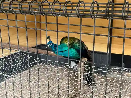 田中神社(京都府)