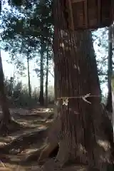 金鑚神社の自然