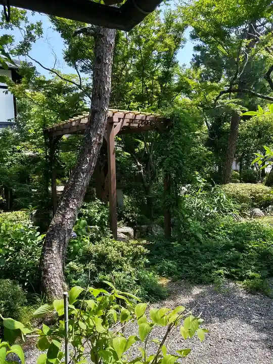 廬山寺(廬山天台講寺)(京都府)