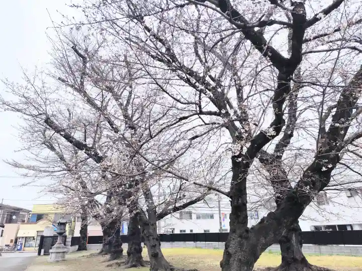 南蔵院の{uncategorized: "未分類", other: "その他", undefined: "問題あり", building: "その他建物", grave: "お墓", sacred_gate: "鳥居", guardian: "狛犬", statue: "像", buddha: "仏像", history: "歴史", nature: "自然", garden: "庭園", animal: "動物", pagoda: "塔", temizu: "手水舎", mountain_gate: "山門・神門", sanctuary: "本殿・本堂", subordinate: "末社・摂社", art: "芸術", scenery: "景色", jizo: "地蔵", ema: "絵馬", goshuin: "御朱印", omikuji: "おみくじ", items: "授与品その他", amulet: "お守り", goshuincho: "御朱印帳", eats: "食事", festival: "お祭り", votive_dance: "神楽", shichigosan: "七五三参", wedding: "結婚式", experience: "体験その他", initially: "初詣", around: "周辺", anti_infection: "感染症対策"}