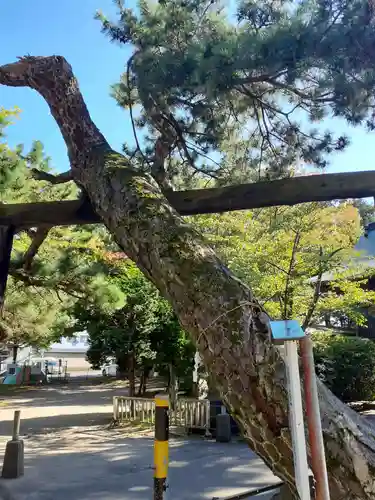 八幡神社(秋田県)