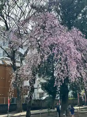 神明大神宮(神奈川県)