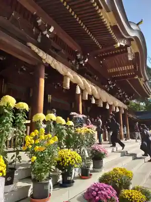 寒川神社(神奈川県)